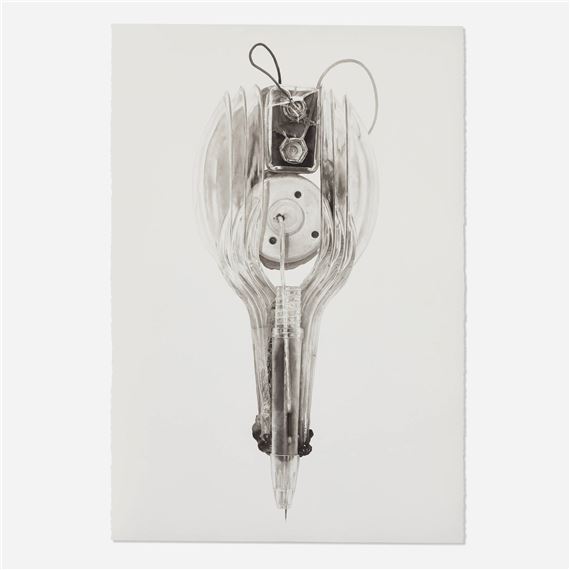 Picnicware - Scott Campbell