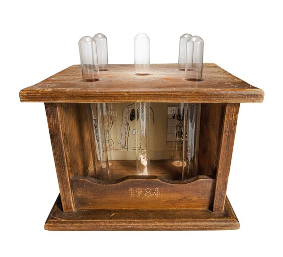 Ni Youyu | Acupuncture Box (2011) | MutualArt