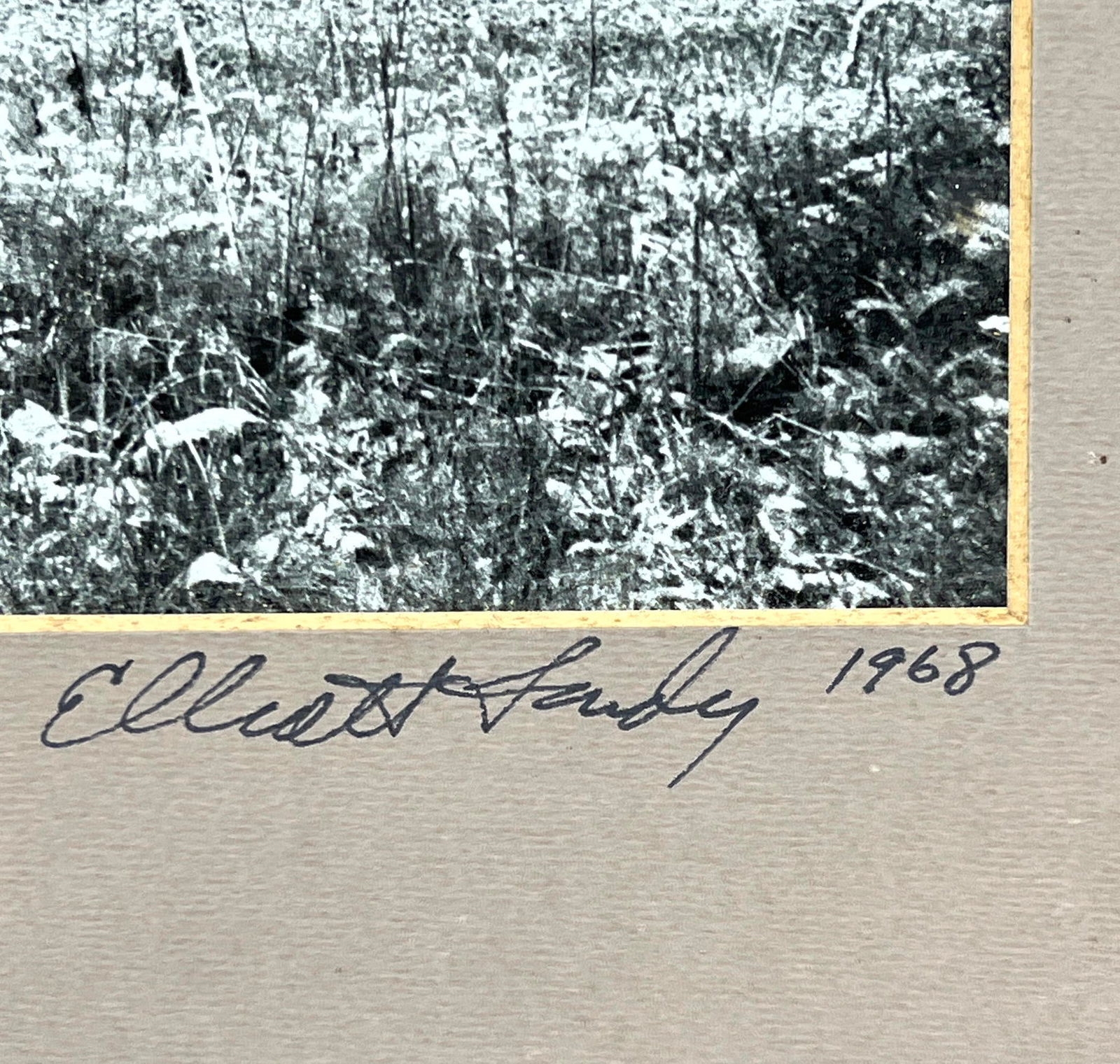 Elliott Landy | 3pc Elliot Landy Photographs of The Band Woodstock NY ...