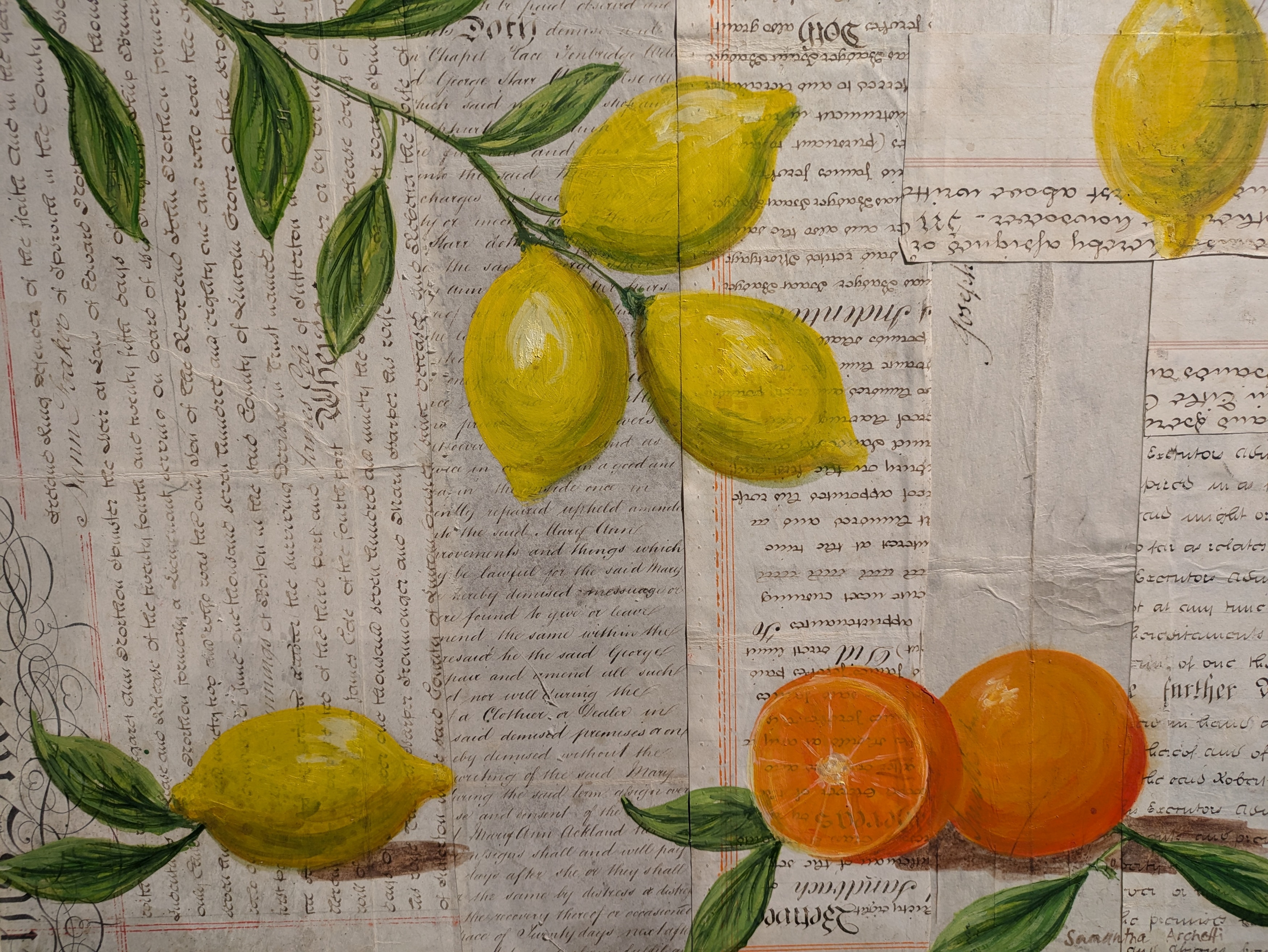 Artwork by Samantha Archetti, Citrus Sinesi and Citrus Limon, Made of oil on 19th century parchment