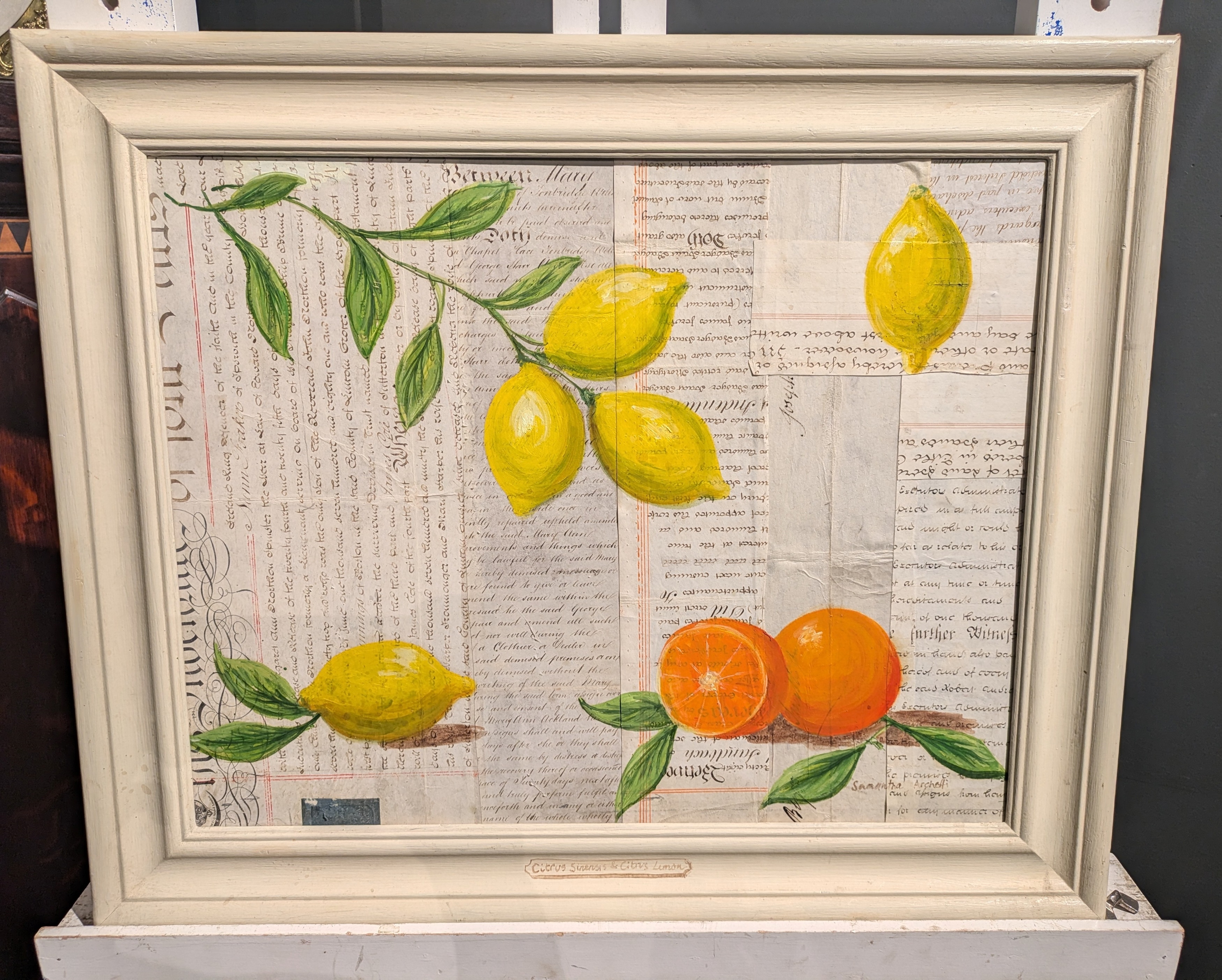 Artwork by Samantha Archetti, Citrus Sinesi and Citrus Limon, Made of oil on 19th century parchment