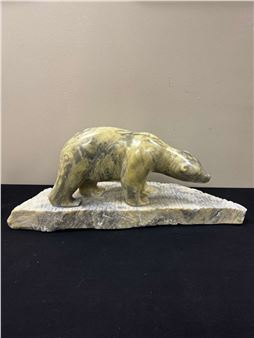 Curious Polar Bear - Nathaniel Noel