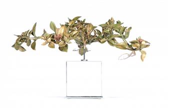 Nic Bladen: Hinterland: Botanical Explorations - Everard Read/ CIRCA, London