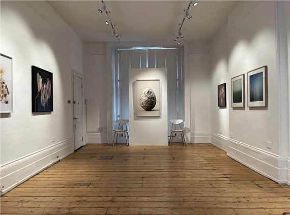 Photographs - Purdy Hicks Gallery