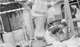 Christopher Mahon: Sincere, or what you will - Visual Carlow