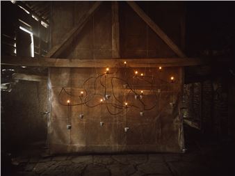 JAMESPLUMB: Rooted - Gallery FUMI