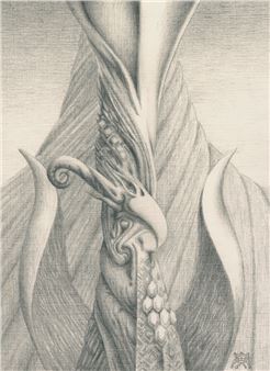 Flammenvogel. Graphit - Alexander Rudolf Kubiczek