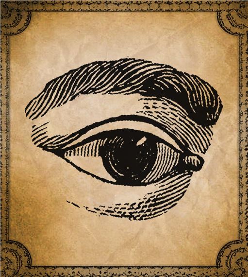 Festival of Oddities 2025 - Enigmatic Visuals