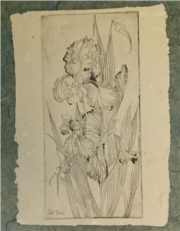 Trudi Finch
Contemporary fine pen drawing of flowers - Trudi Finch