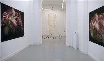 Pilar Soberón: Axis Mundi - Vanguardia Bilbao