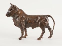 L’éveil du taurillon - José Robert