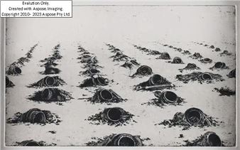 Dolores de Sade,  20th/21st Century-  Untitled;  etching on wove,  signed and numbered 10/20 in pencil verso,  image: 15 x 24 - Dolores De Sade 