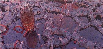 Gaia Radić: Chora - Aksioma Institute for Contemporary Art