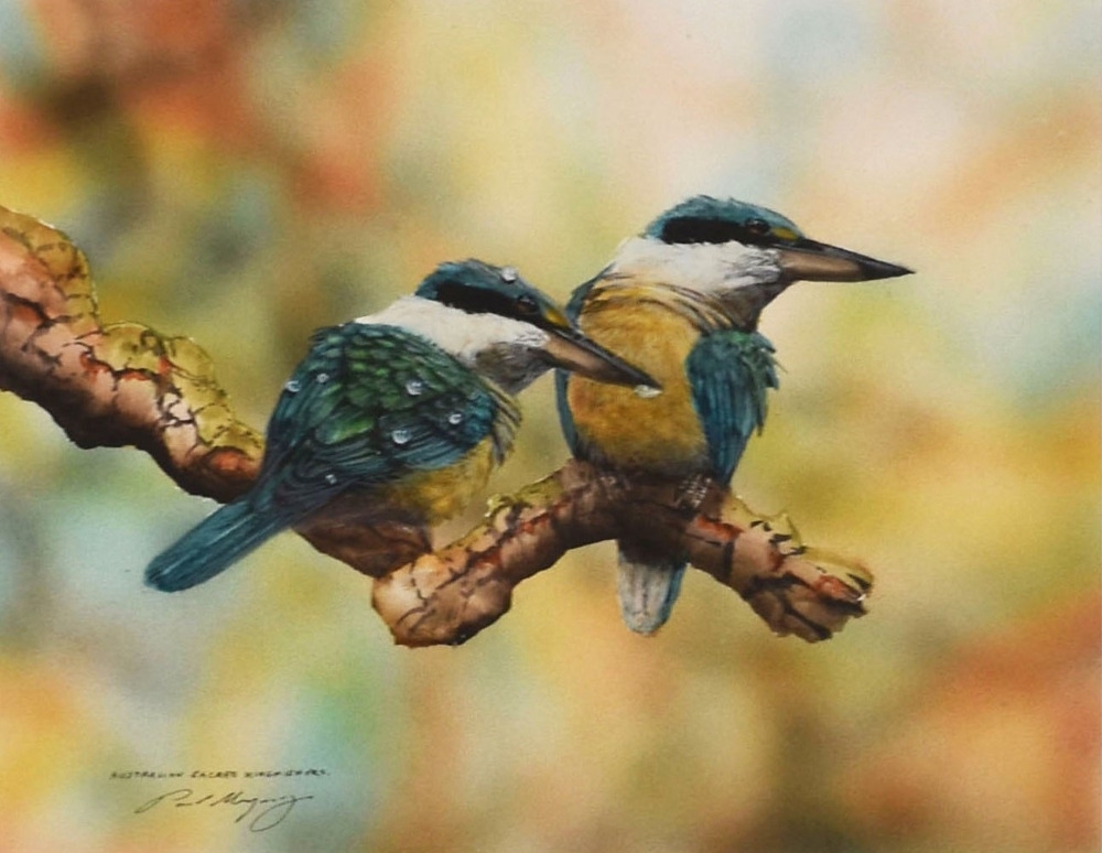 Paul Margocsy | Australian Sacred Kingfishers | MutualArt