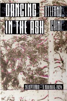 Stefano Caimi: Dancing in the Ash - The Flat - Massimo Carasi 
