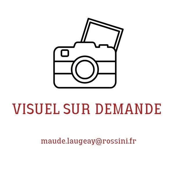 Artwork by Michel Semeniako, . Vijayanagar - Ghat. Circa 1992. Framed vintage silver print. On verso, Made of Vintage silver print