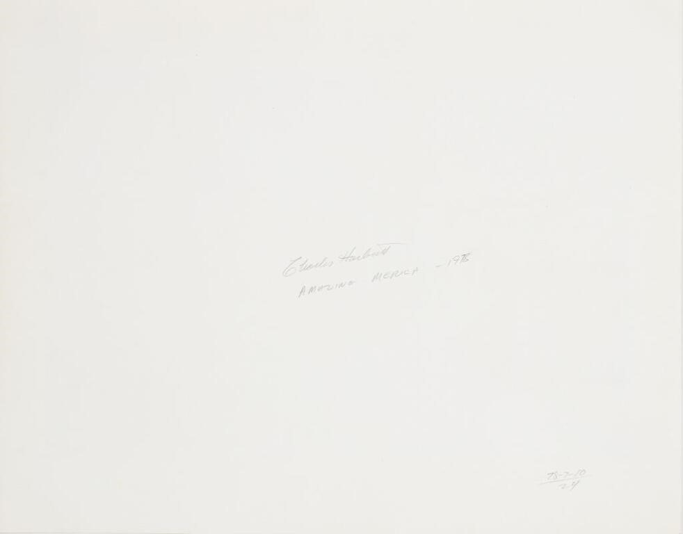 Artwork by Charles Harbutt, Charles Harbutt "Amazing Merica" Gelatin Print, Made of black and white photography