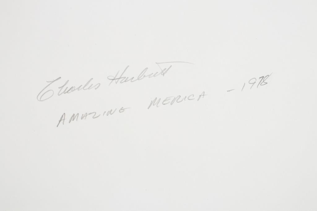 Artwork by Charles Harbutt, Charles Harbutt "Amazing Merica" Gelatin Print, Made of black and white photography