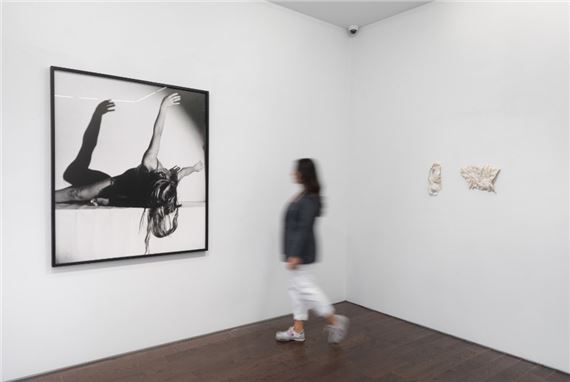 Clairvoyant - Ceysson & Bénétière, New York