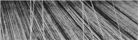 The Abstract Photography of Nasreen Mohamedi