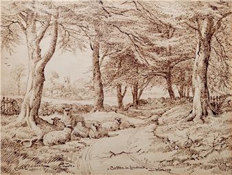 Charles Edwin Baldock (1876-1941) Pen and ink drawing 'Carlton-in-Lindrick, Near Worksop', sheep - Charles Edwin M. Baldock