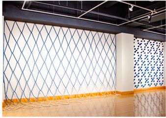 Lisa Solomon: Amime - Walter Maciel Gallery