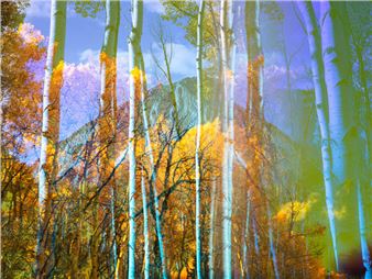 Altered Earth - Bolinas Museum