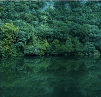 International Photography Exhibition: Green - Glasgow Gallery of Photography (Glassford Str)