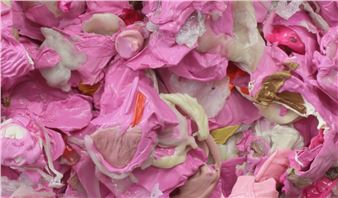 Dani Marti: Summer Fruits - Arc One Gallery