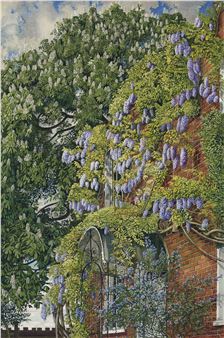 Wisteria at Englefield - Stanley Spencer