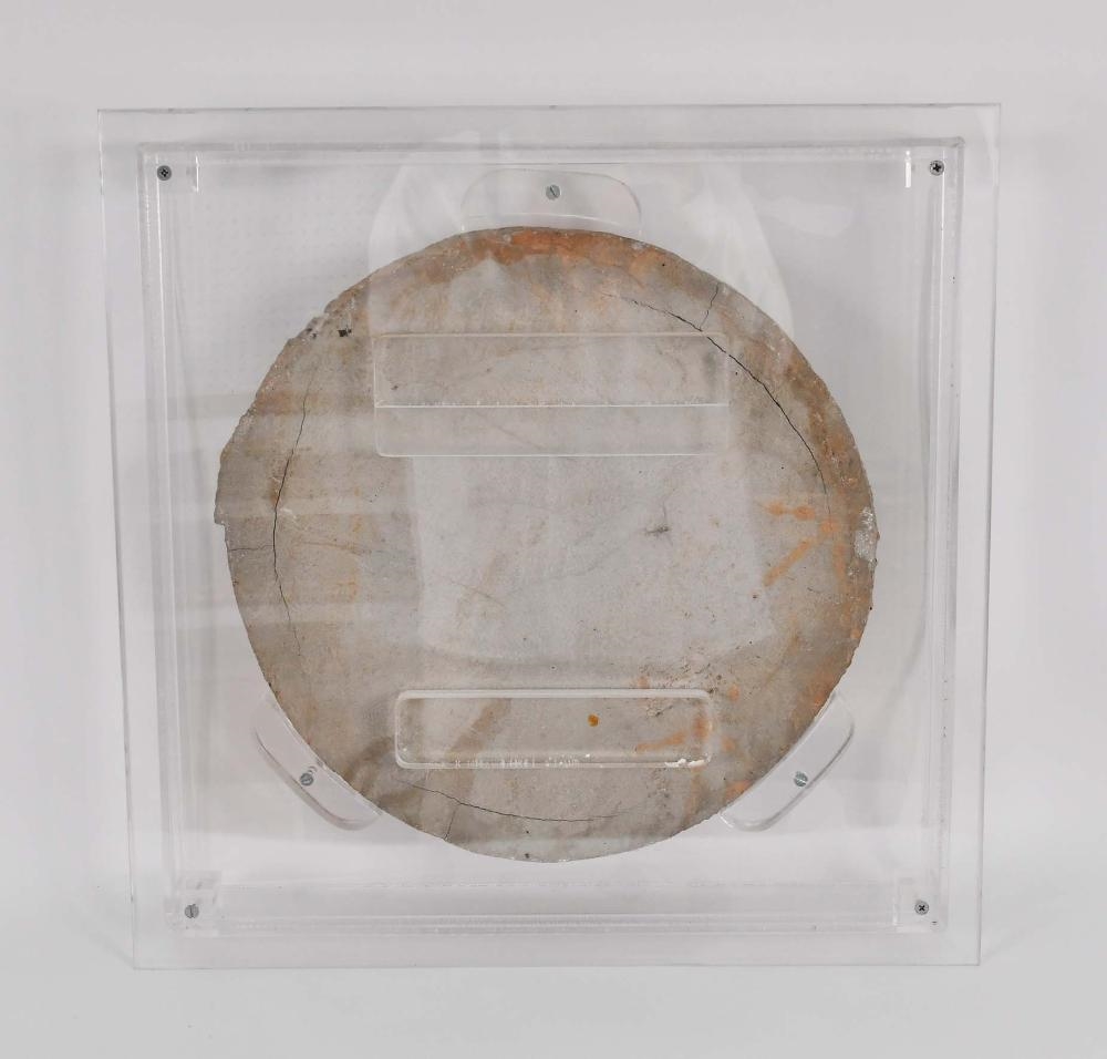 Artwork by Moshe Dayan, STONE MOSAIC FLOOR FRAGMENT OF A DUCK, Made of acrylic