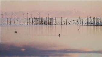 Breakfast at Dawn on the Solway - Roger Lever