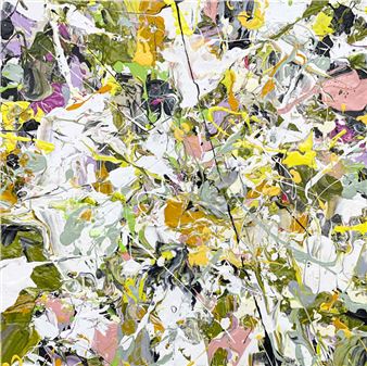 My Own Backyard (2017 - Adam Cohen