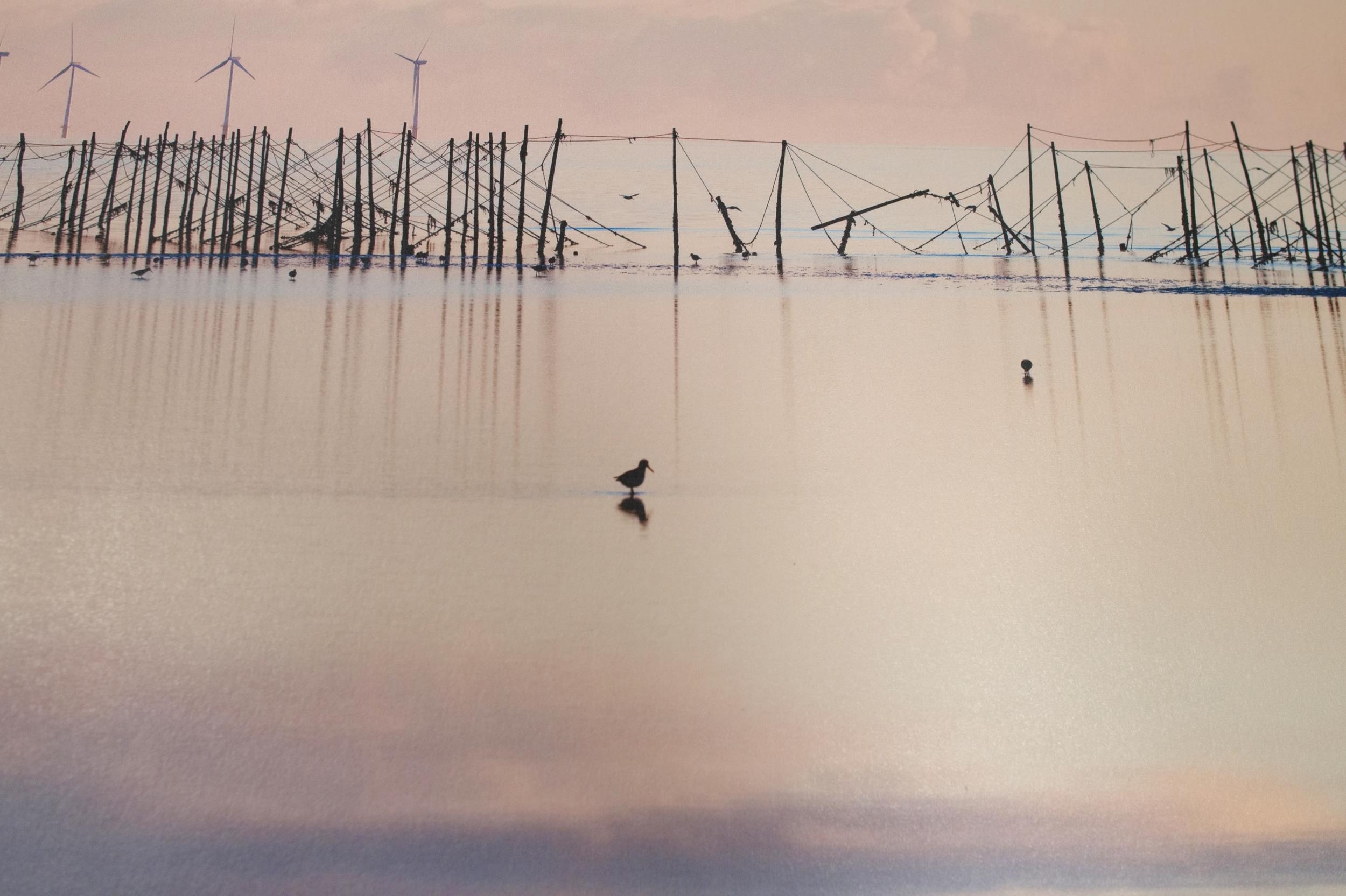Artwork by Roger Lever, Breakfast at Dawn on the Solway, Made of photograph on aluminium