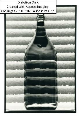 (Wien 1955 geb.) Doppler - Fritz Simak