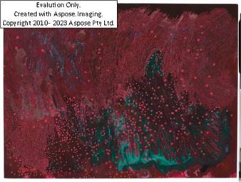 Michela Ghisetti (geb. Bergamo 1966), Linee Fondamentali, 2017 - Michela Ghisetti