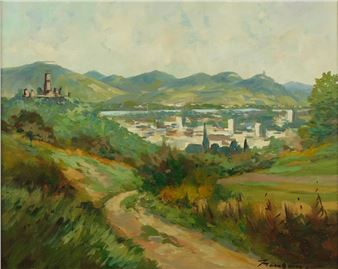 Blick auf Bad Godesberg und Siebengebirge - Georg Neuhauser