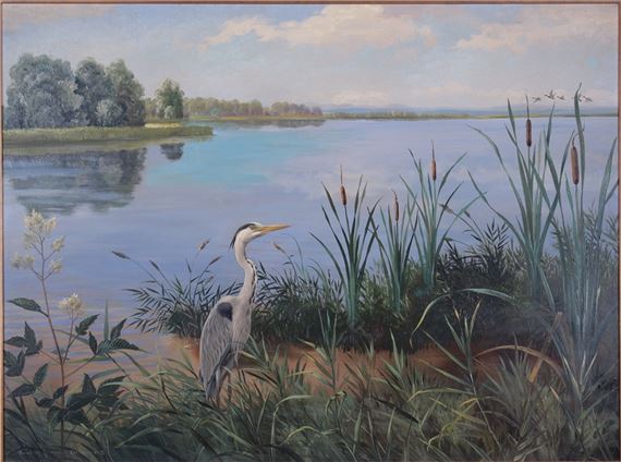 Grey Heron on the Lake Shore by Friedrich Reimann