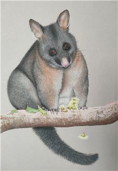 Kathleen Cain & Helen Stacey: Explore - Murray Bridge Regional Gallery