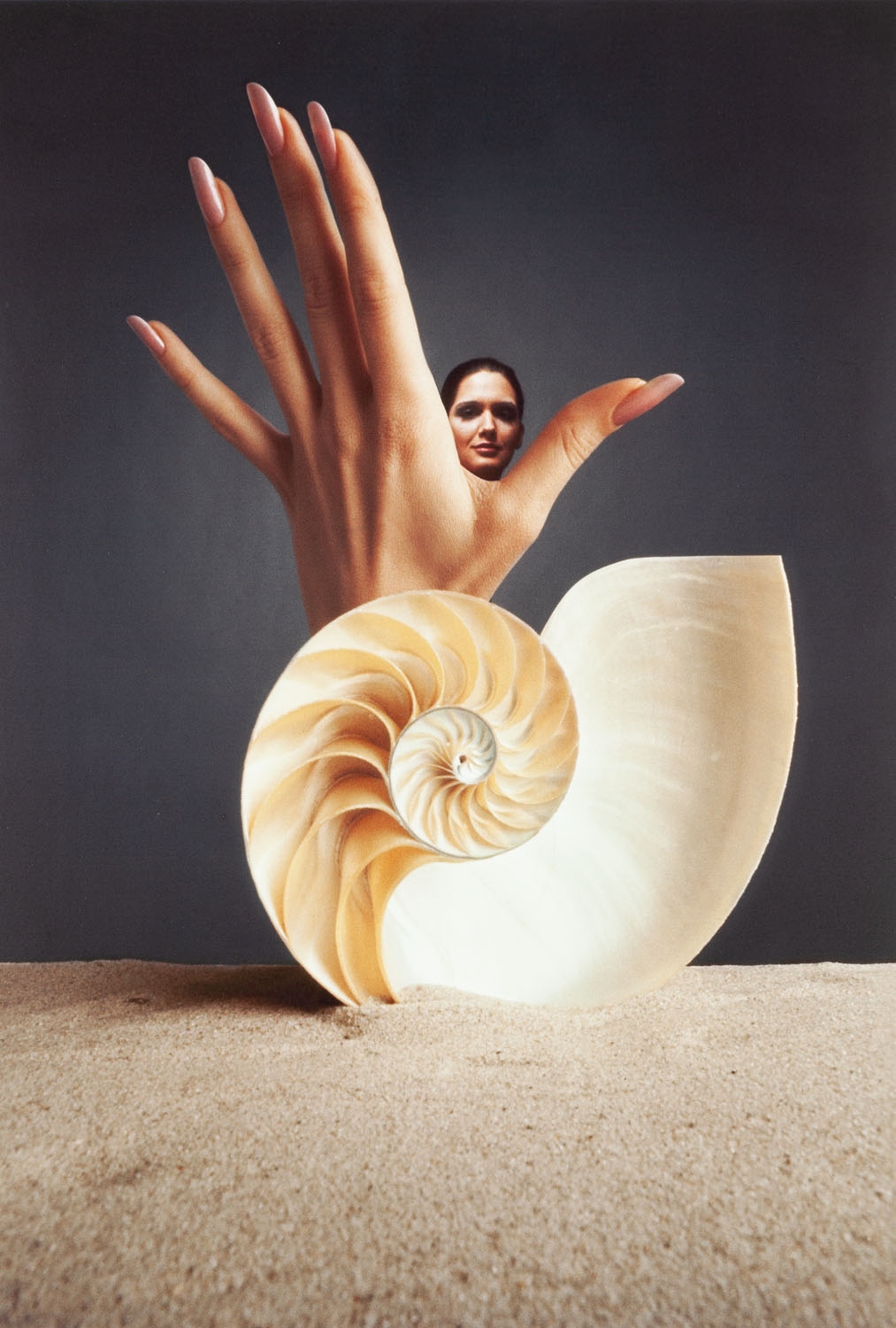 Ryszard Horowitz | Pearly Hand (1971 - 2000) | MutualArt