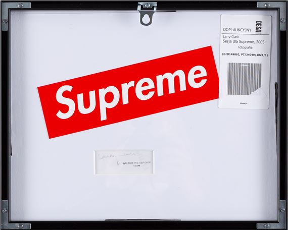 Larry Clark | Z cyklu (2005) | MutualArt