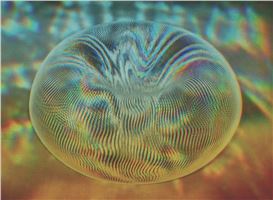 PST Art’s Science-Meets-Art Extravaganza in Eight Superlatives