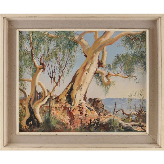 Australian White Gum by Alan Robert Colquhoun Grieve