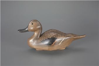 Pintail Hen - Ed Snyder
