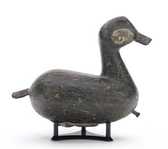 Ruddy duck - Ryan Dockiewicz