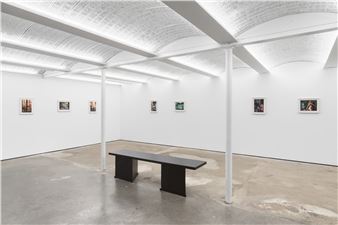 Alannah Farrell: Erect - Alexander Gray Associates, Germantown