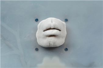 Artists Rally Around Climate Change and Social Justice in New Hammer Exhibition