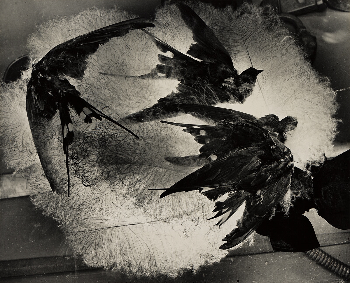 Clarence John Laughlin | Lost Paradise for Dead Birds - No. 1 | MutualArt