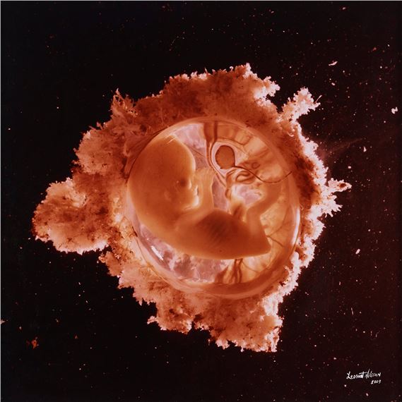 Rymdfararen", 1965 by Lennart Nilsson, dated 2003