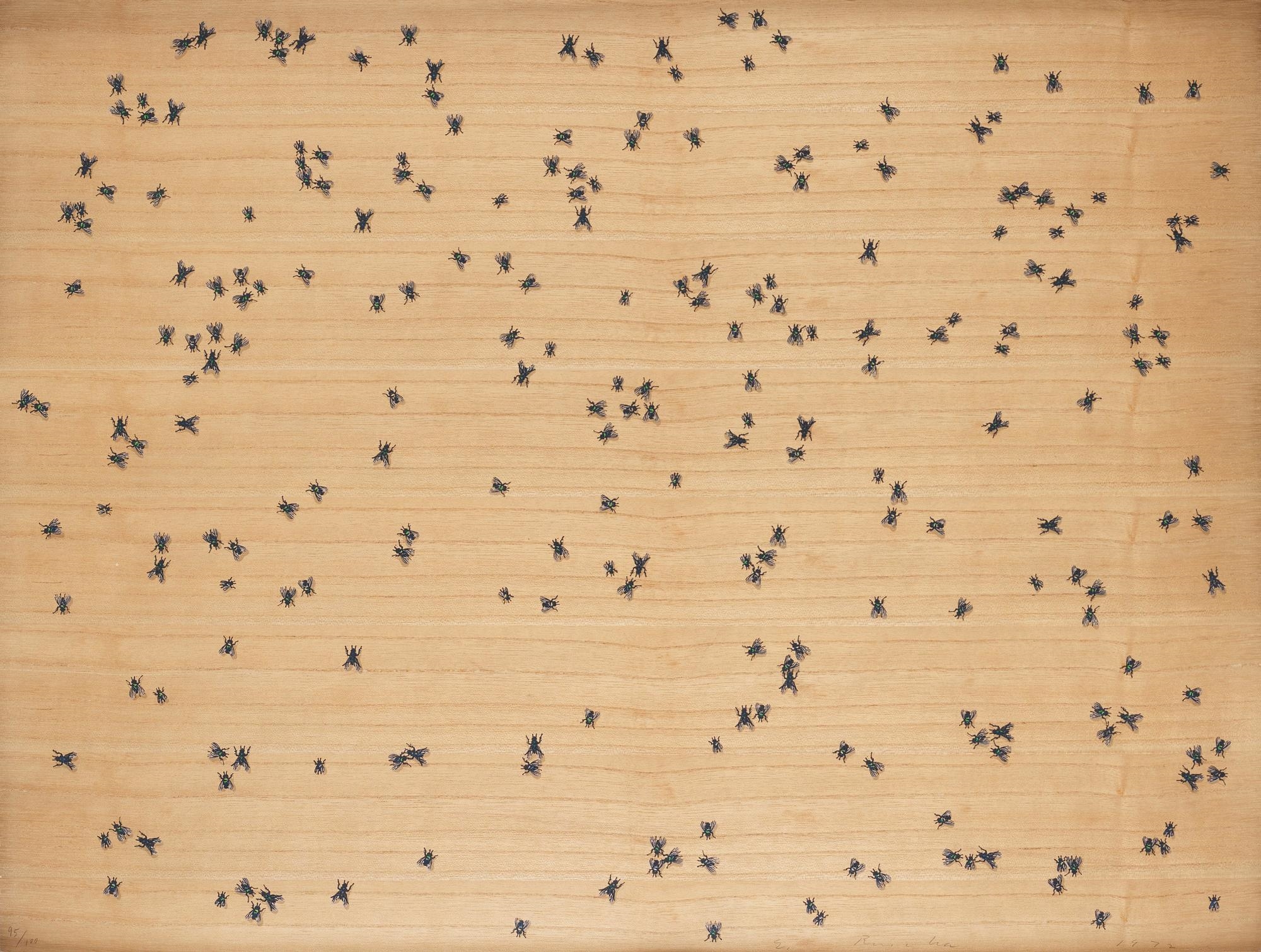 Ed Ruscha | Flies (from Insects Portfolio (1972) | MutualArt